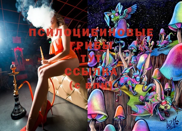 марки lsd Богородицк