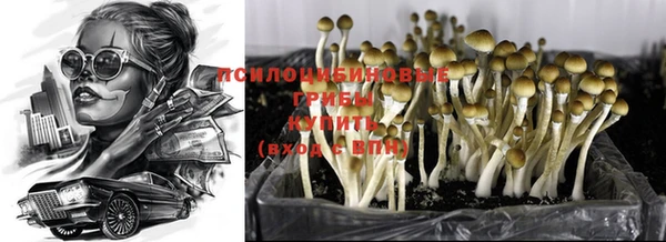марки lsd Богородицк