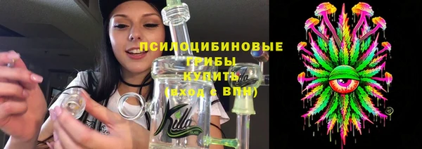 амф Богородск