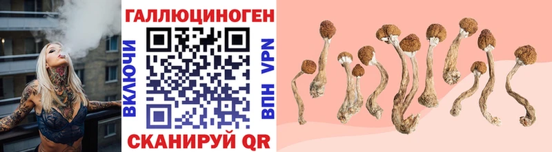 мега   купить наркоту  Палласовка  Псилоцибиновые грибы прущие грибы 